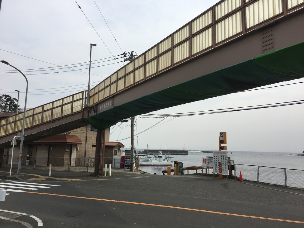 ユーミンの歌詞に出てくる観音崎の歩道橋を渡り観音崎灯台への写真6