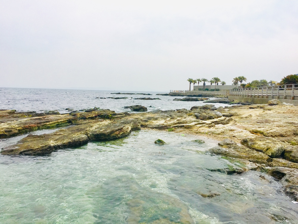 ユーミンの歌詞に出てくる観音崎の歩道橋を渡り観音崎灯台への写真9