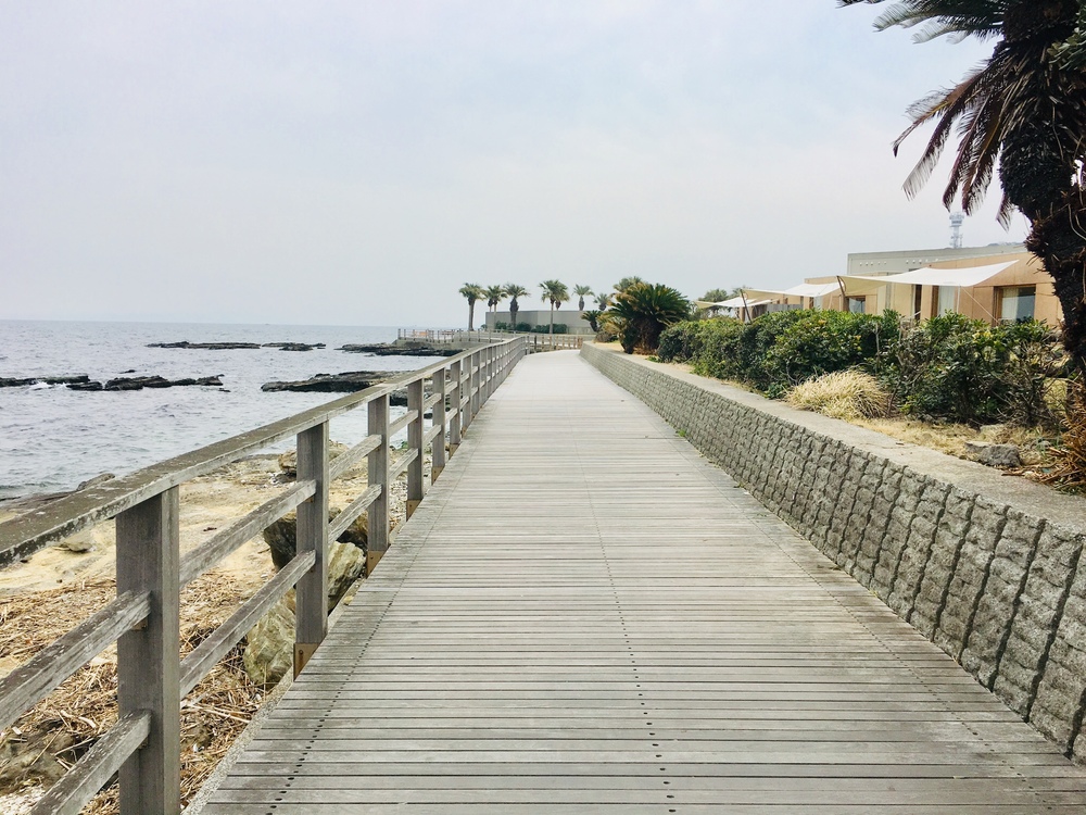 ユーミンの歌詞に出てくる観音崎の歩道橋を渡り観音崎灯台への写真10