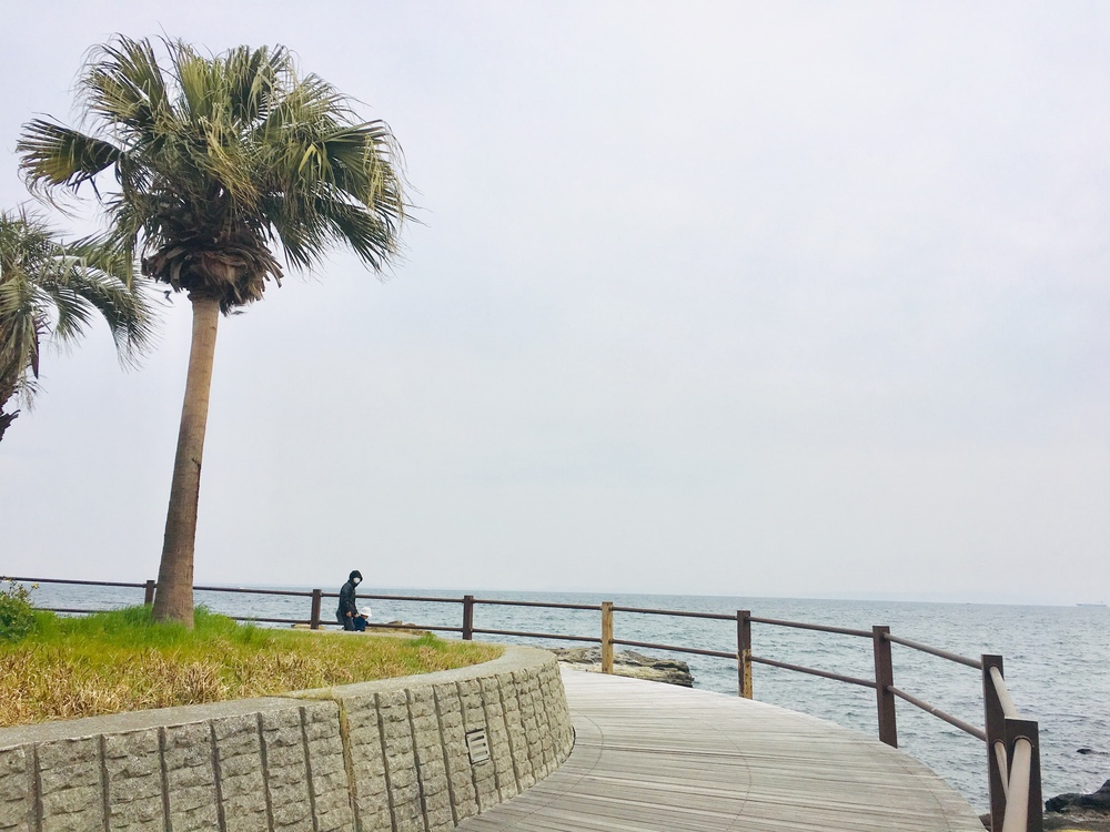 ユーミンの歌詞に出てくる観音崎の歩道橋を渡り観音崎灯台への写真11