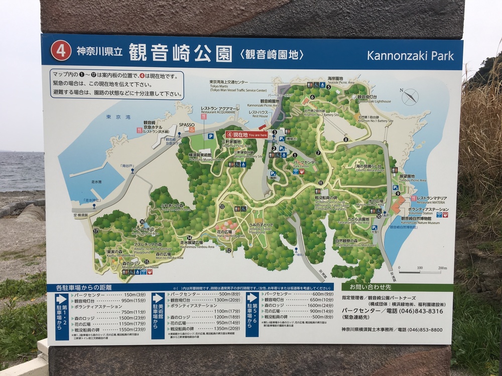 ユーミンの歌詞に出てくる観音崎の歩道橋を渡り観音崎灯台への写真13