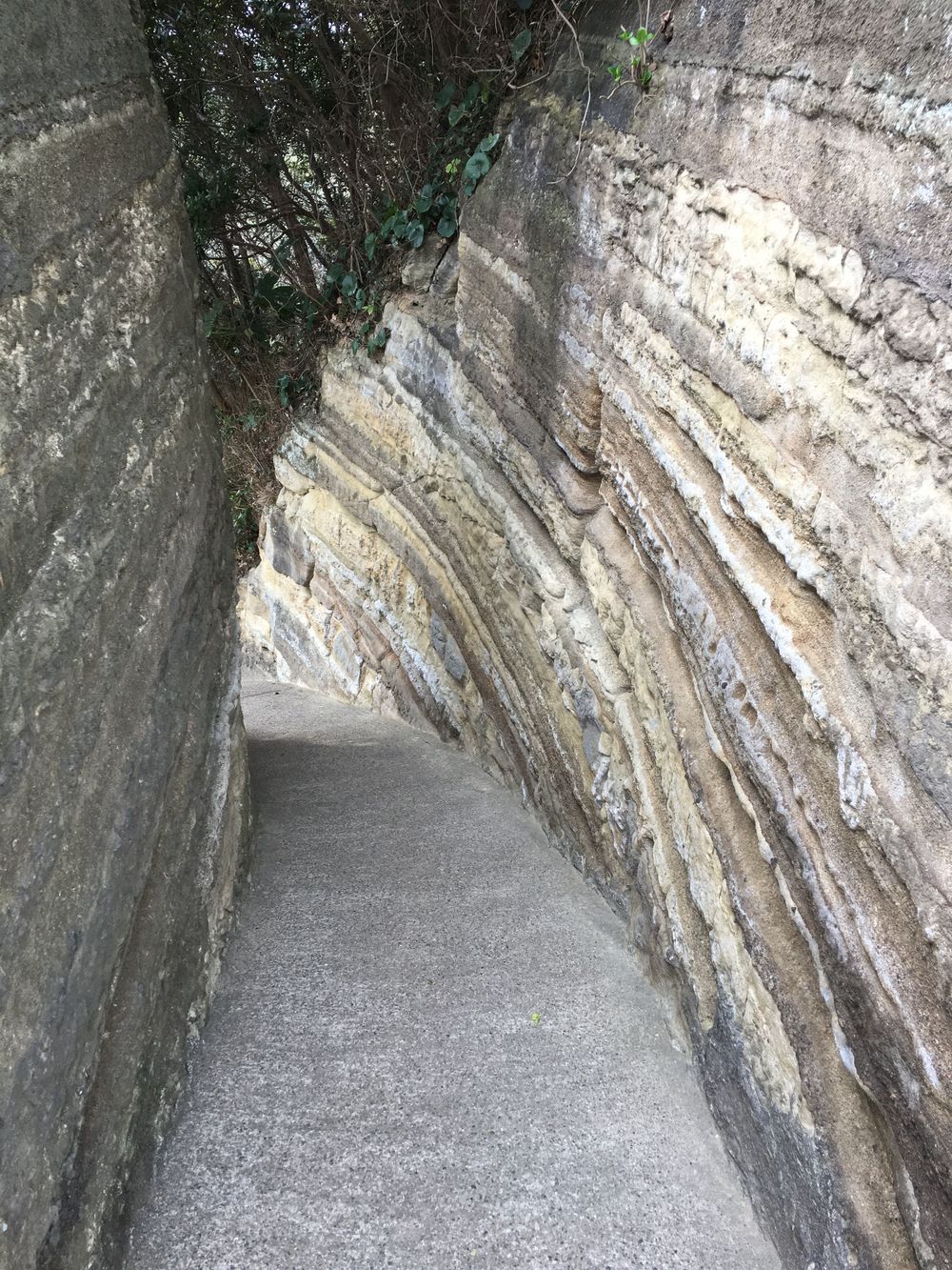 ユーミンの歌詞に出てくる観音崎の歩道橋を渡り観音崎灯台への写真15