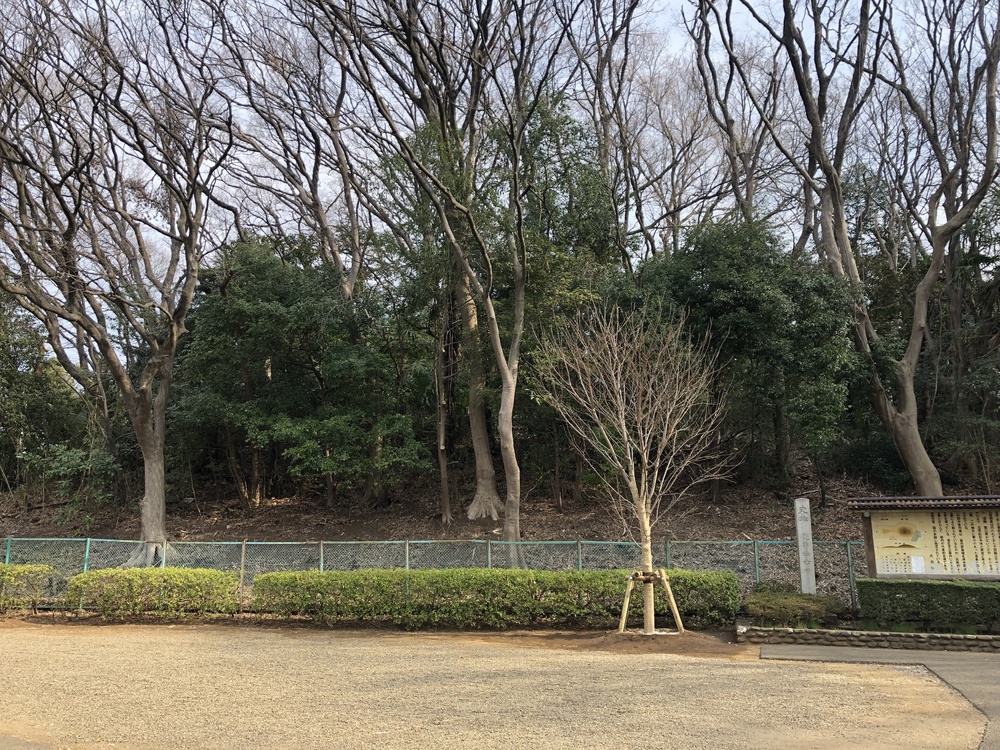 多摩川周遊史跡巡りランの写真3