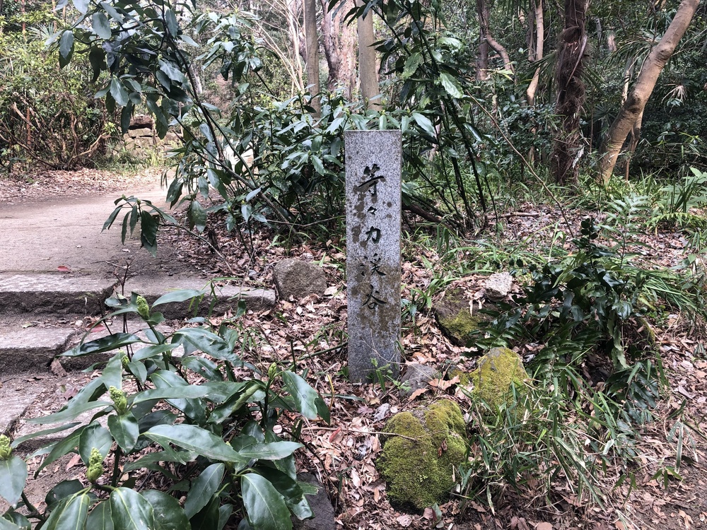 多摩川周遊史跡巡りランの写真5