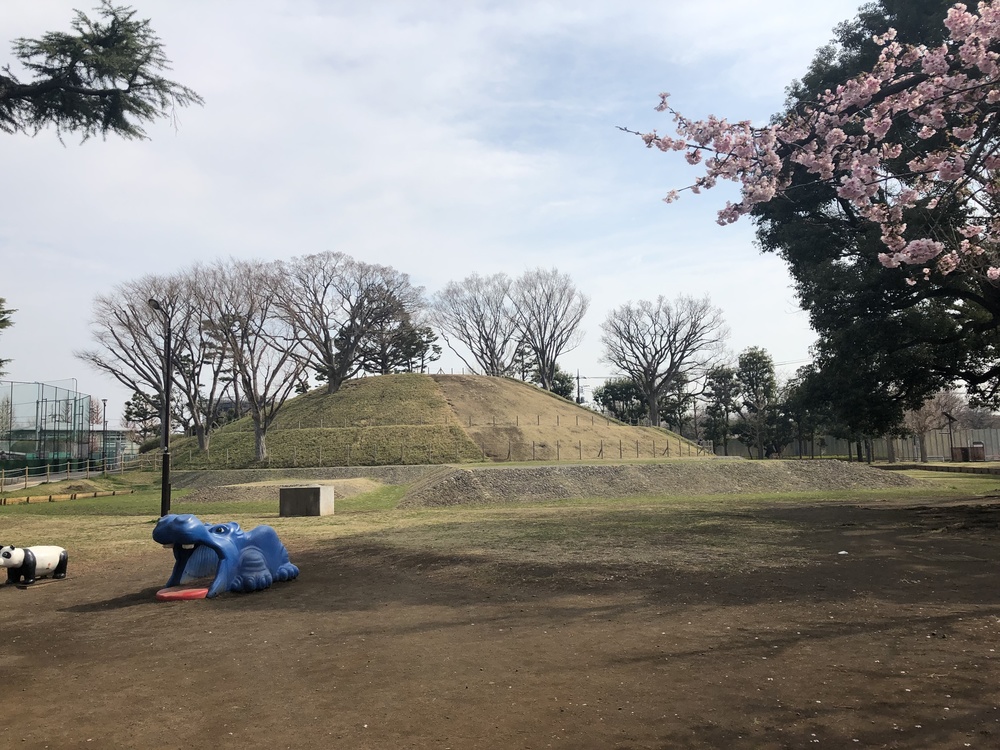 多摩川周遊史跡巡りランの写真7