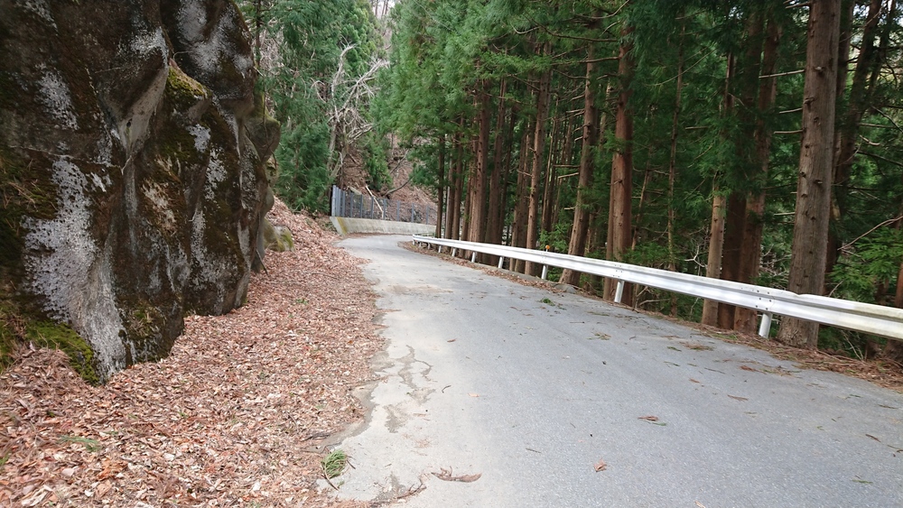 【釜石・大船渡】県道２５０号周遊コースの写真4