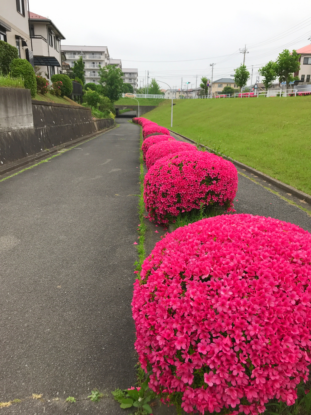 成田ニュータウントリム外回りの写真4