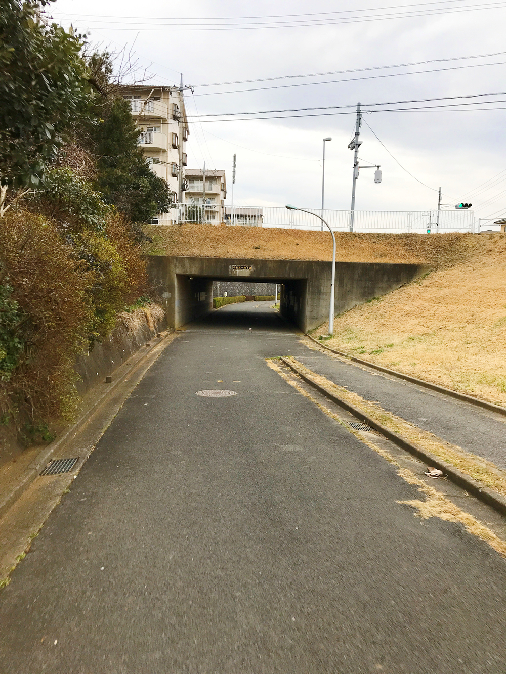 成田ニュータウントリム外回りの写真5