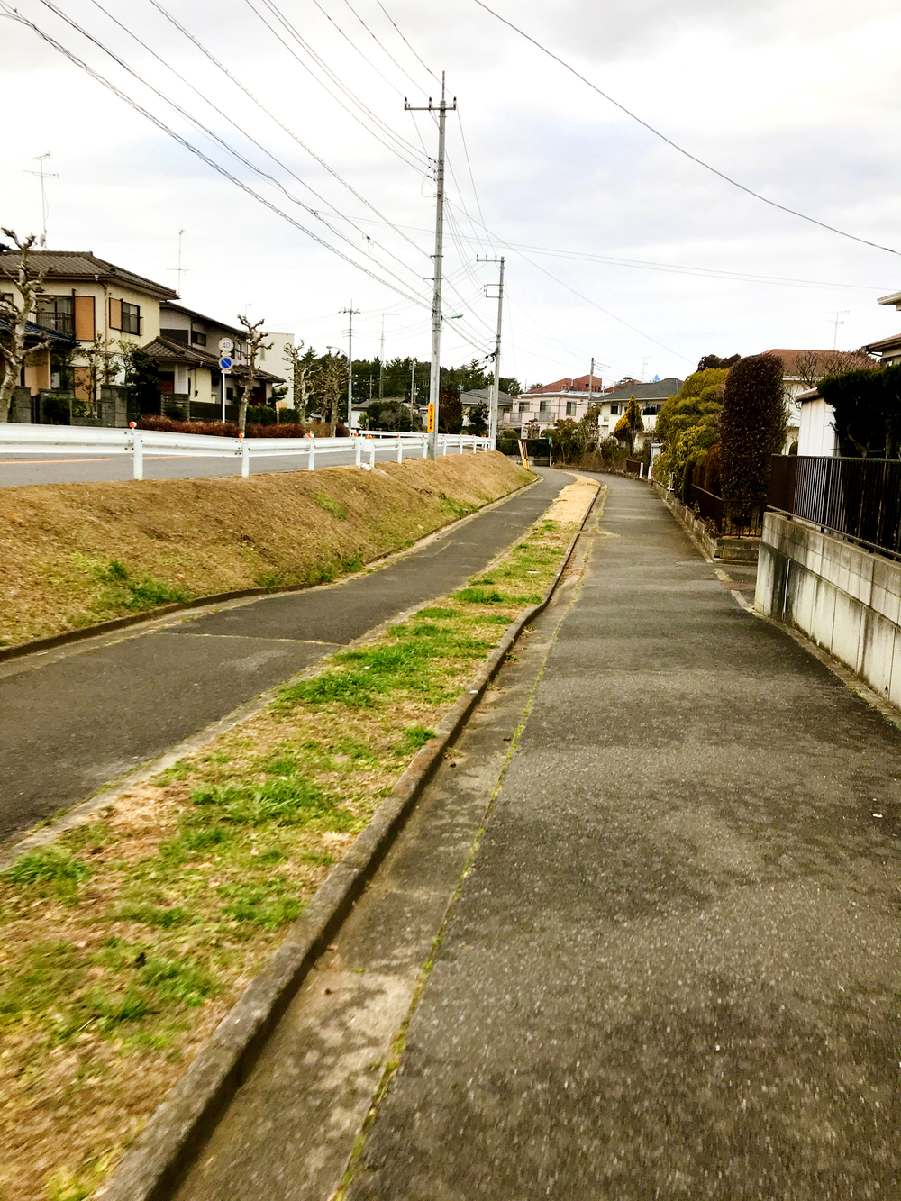 成田ニュータウントリム外回りの写真6