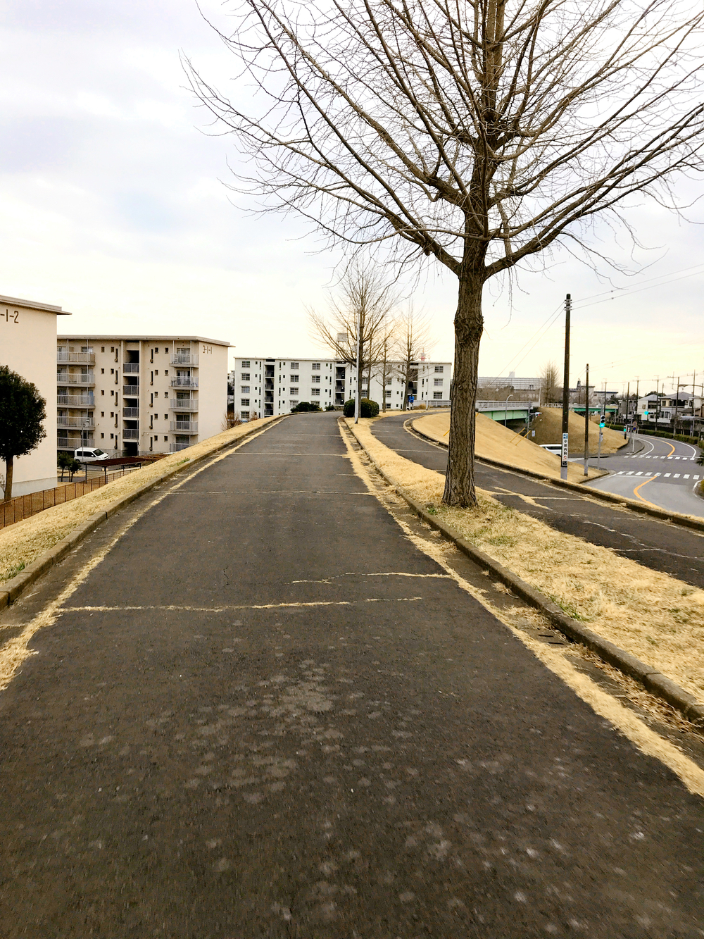 成田ニュータウントリム外回りの写真7