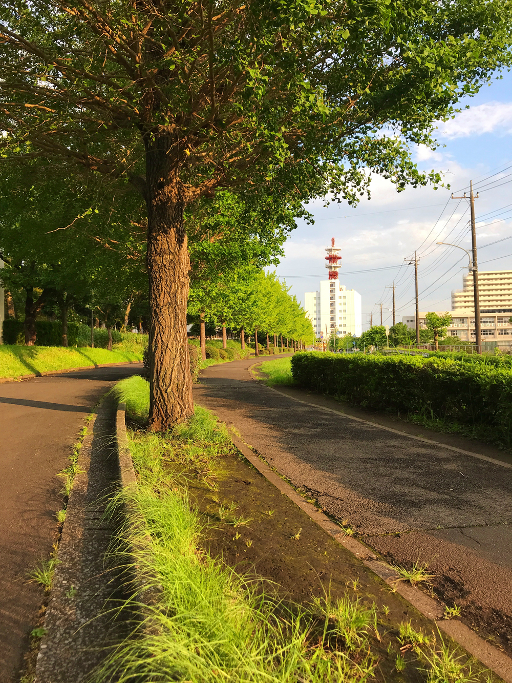 成田ニュータウントリム外回りの写真8