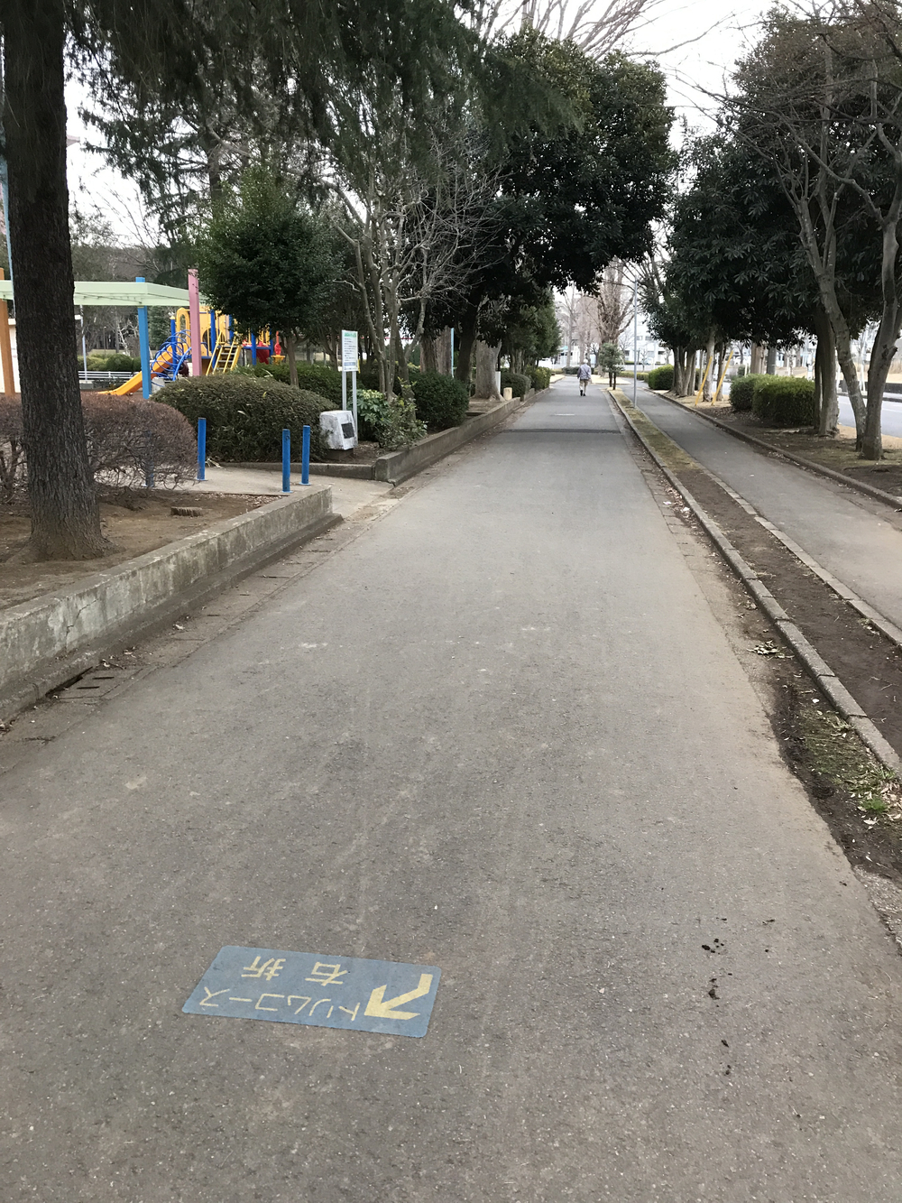 成田ニュータウントリム内回りの写真3