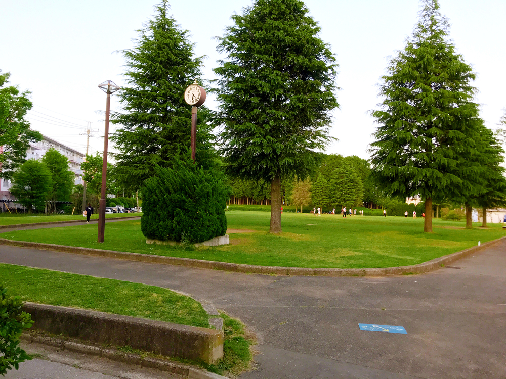 成田ニュータウントリム内回りの写真4