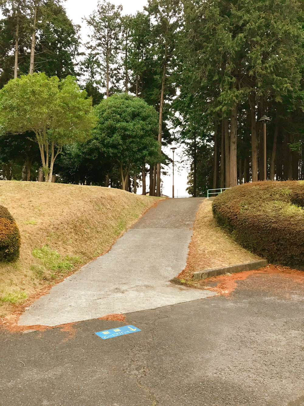 成田ニュータウントリム内回りの写真5