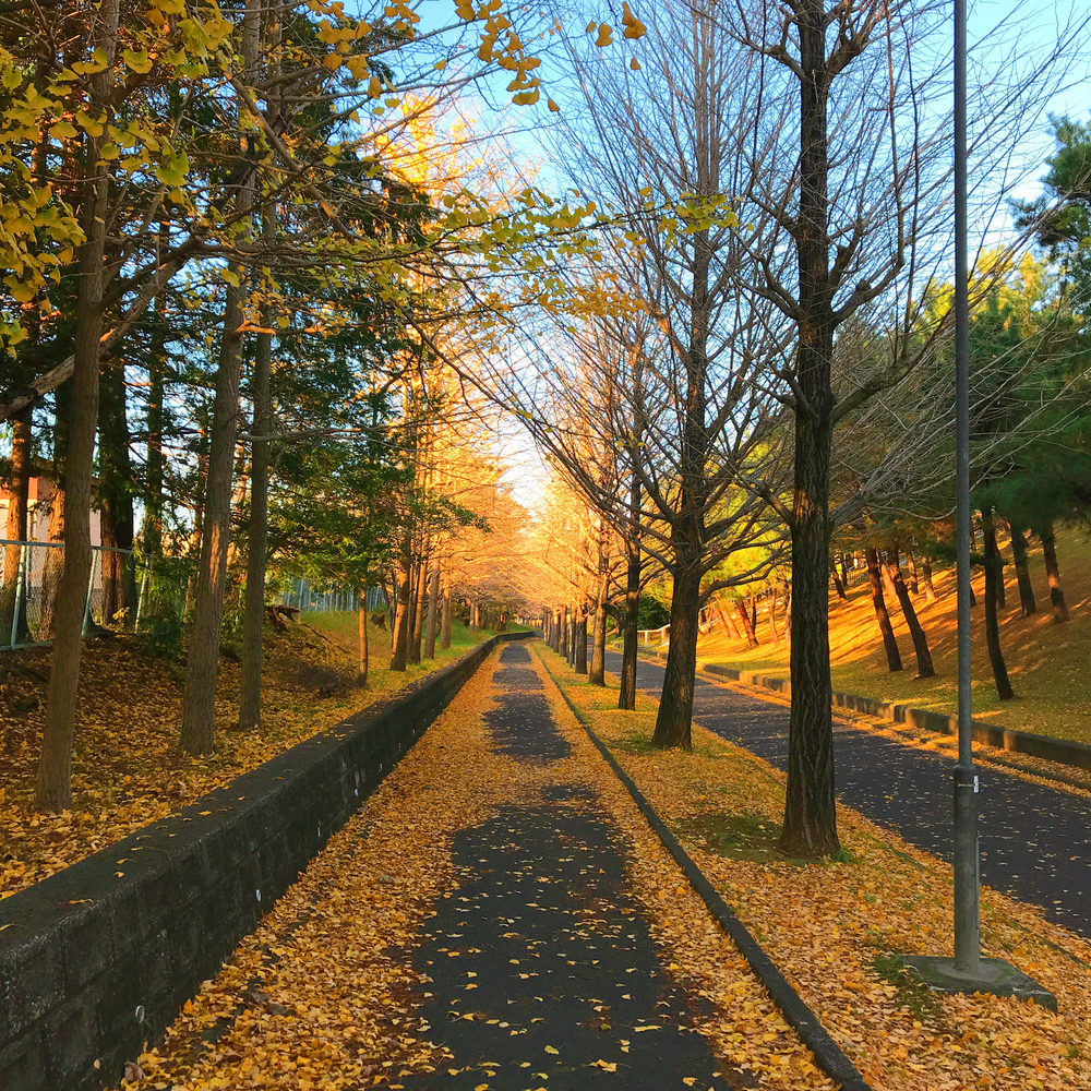 成田ニュータウントリム内回りの写真6