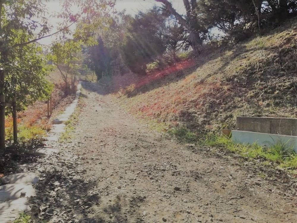 多摩丘陵を満喫！いいとこどりの13.5Kmの写真5