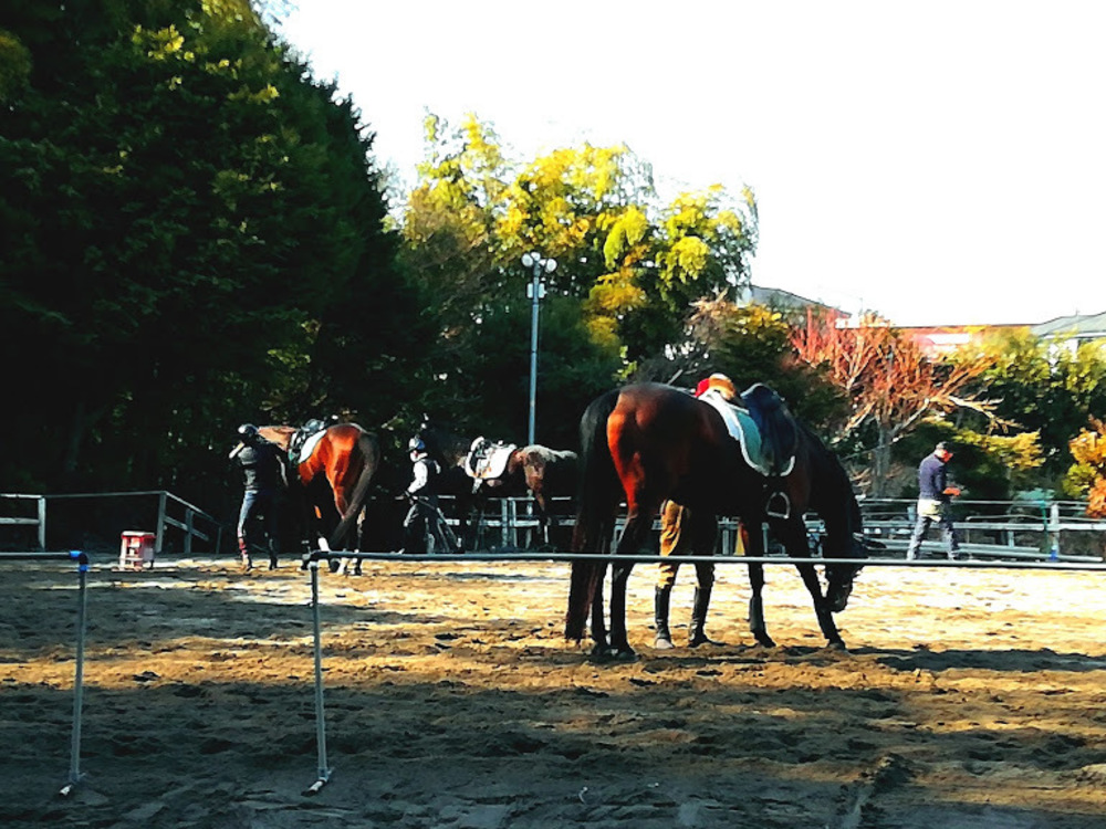 多摩丘陵を満喫！いいとこどりの13.5Kmの写真6