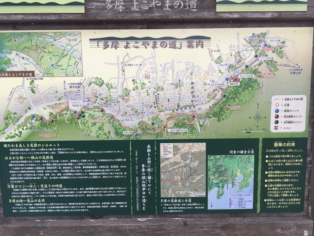 多摩丘陵を満喫！いいとこどりの13.5Kmの写真8