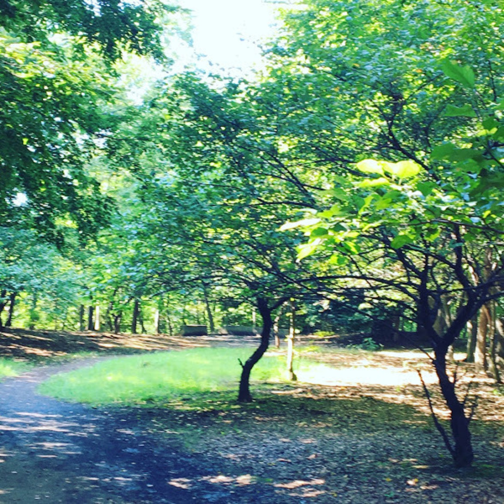 多摩丘陵を満喫！いいとこどりの13.5Kmの写真11