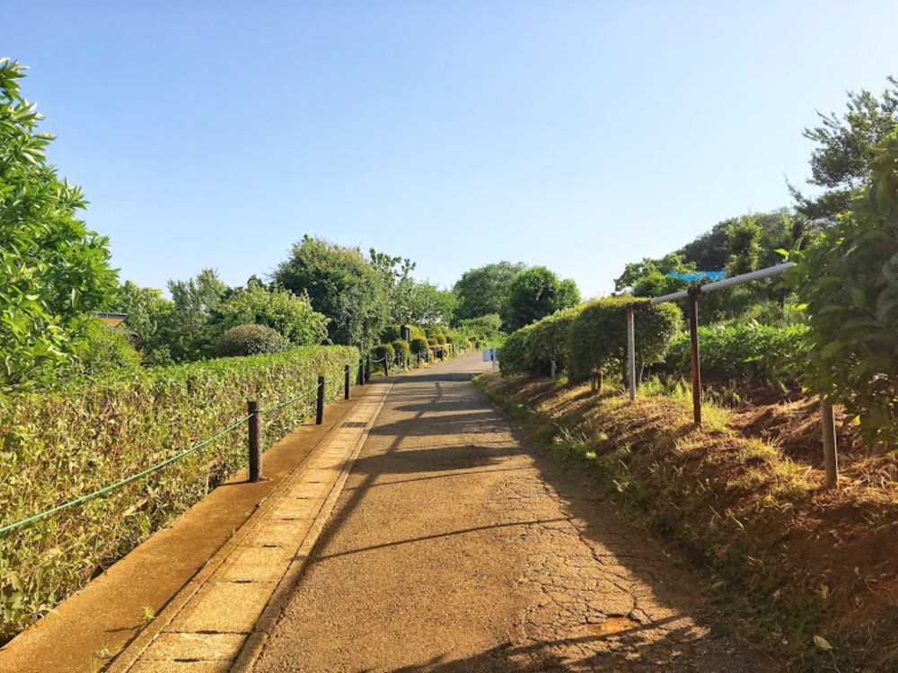 多摩丘陵を満喫！いいとこどりの13.5Kmの写真12