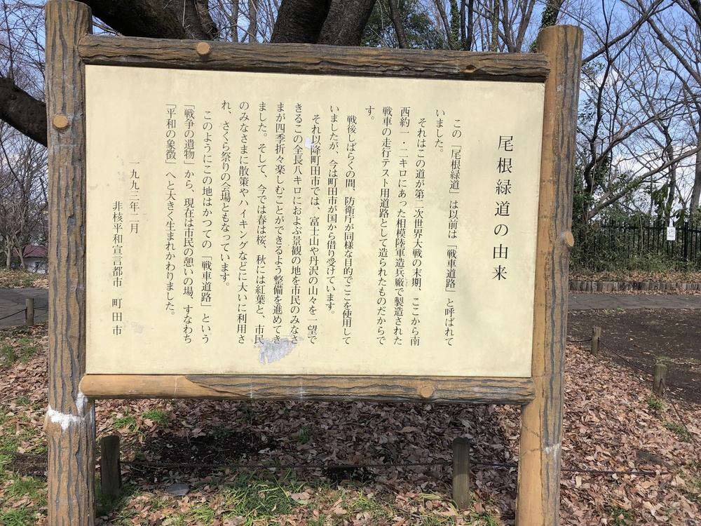菜の花と桜並木の町田 尾根緑道ランの写真5