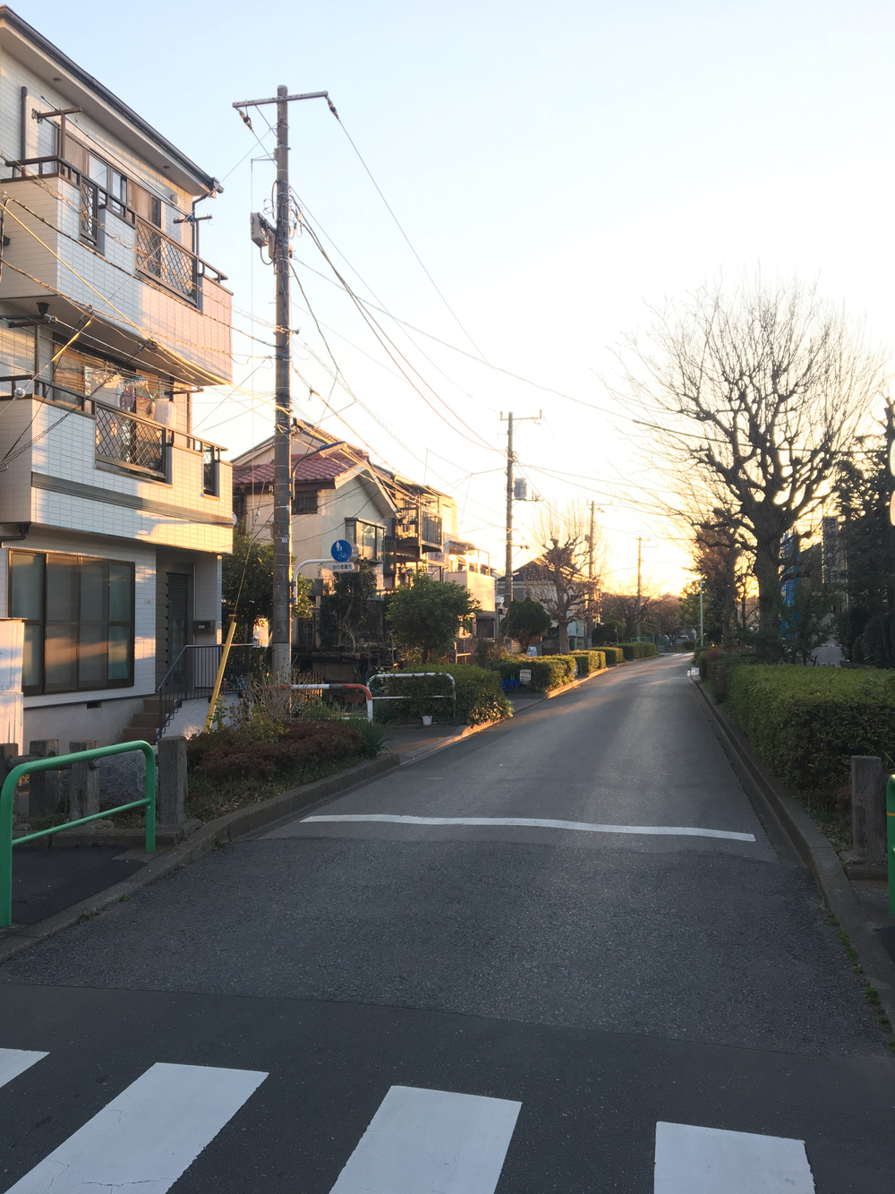 田柄用水と田柄川跡を辿る10kmの写真4