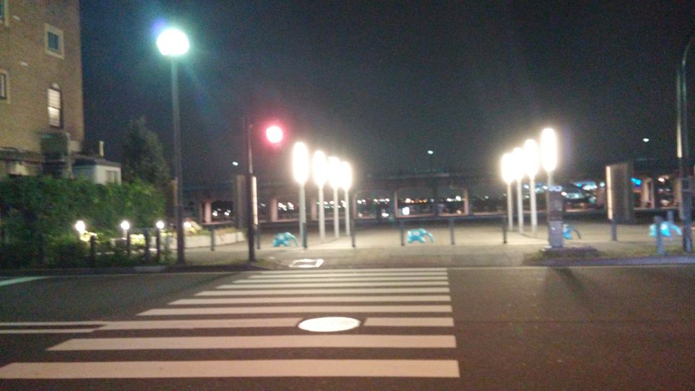 【みなとみらいナイトラン】大桟橋ふ頭〜山下公園〜海の見える丘公園の写真3