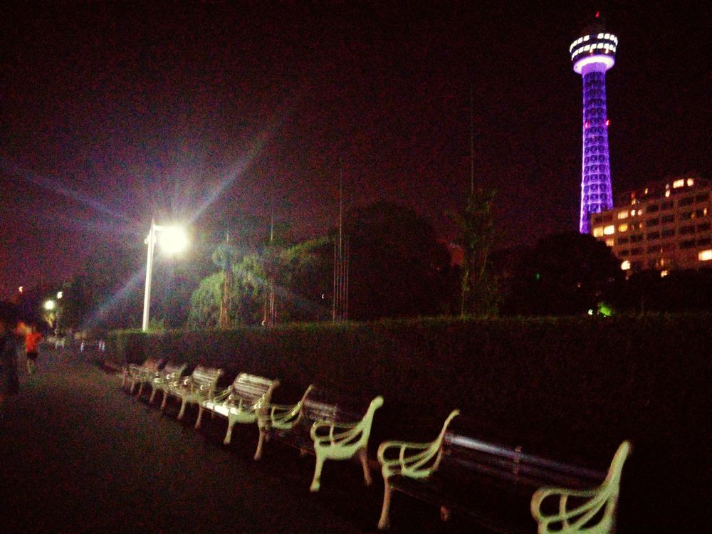 【みなとみらいナイトラン】大桟橋ふ頭〜山下公園〜海の見える丘公園の写真8