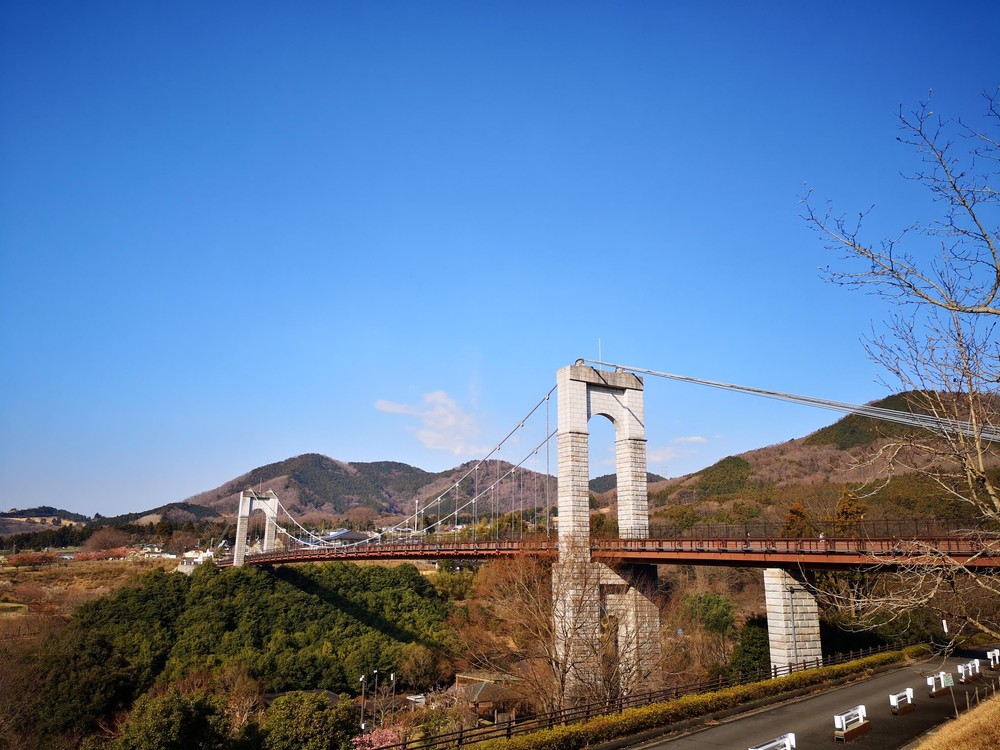 富士の絶景にトライ！の写真3