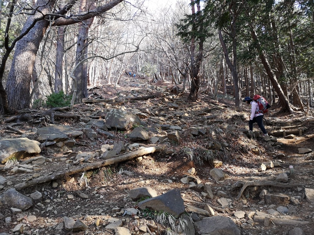 富士の絶景にトライ！の写真5