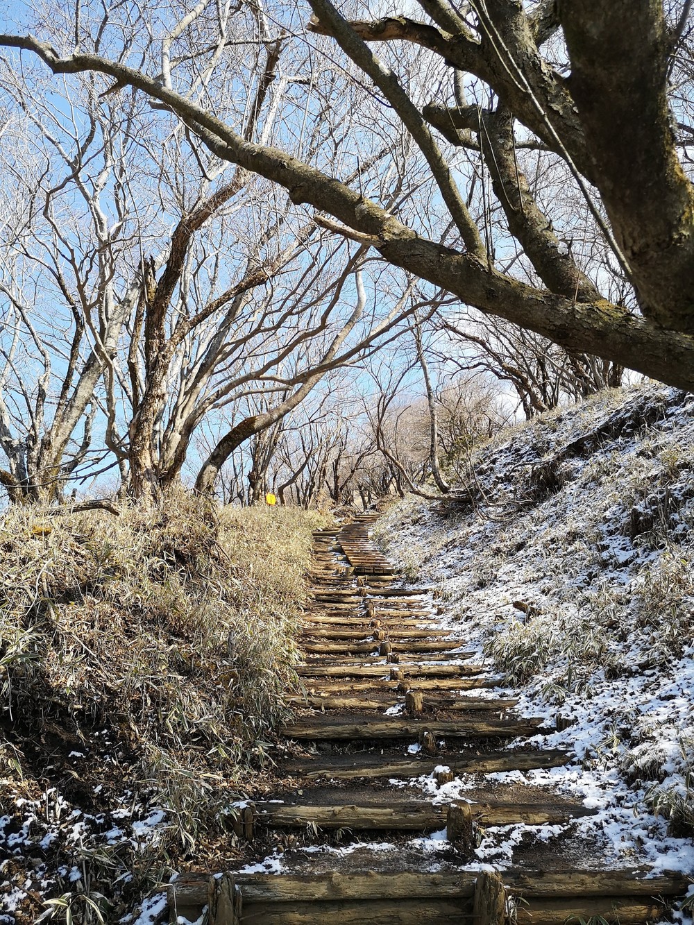 富士の絶景にトライ！の写真6