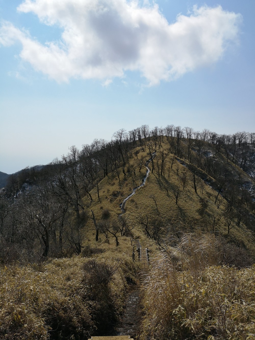 富士の絶景にトライ！の写真8
