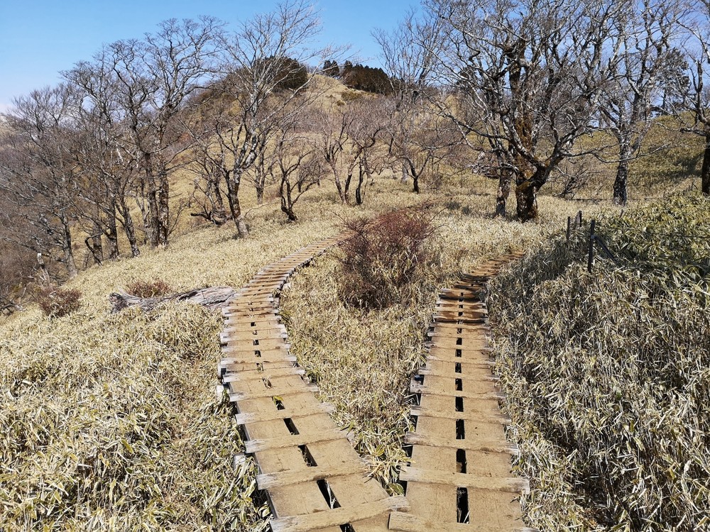 富士の絶景にトライ！の写真9