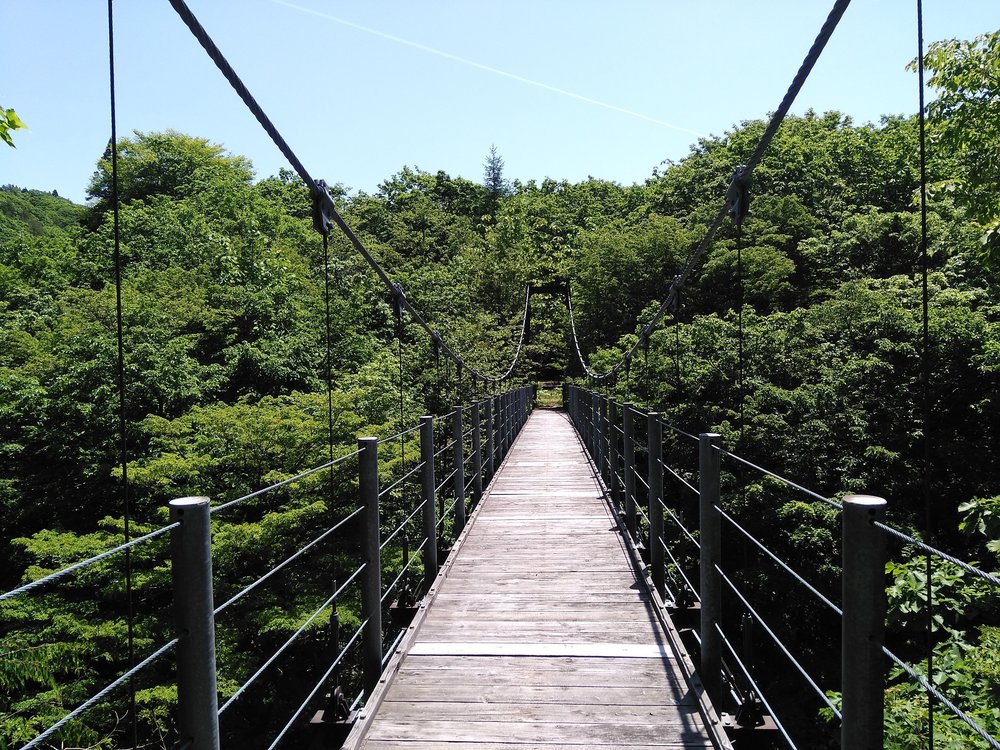 川内渓谷沿いの平坦コースの写真3