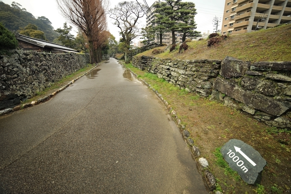徳島中央公園周回+新町川沿いコースの写真4