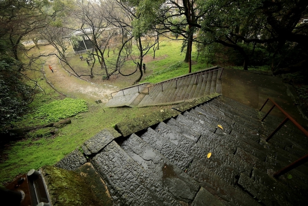 徳島中央公園周回+新町川沿いコースの写真5