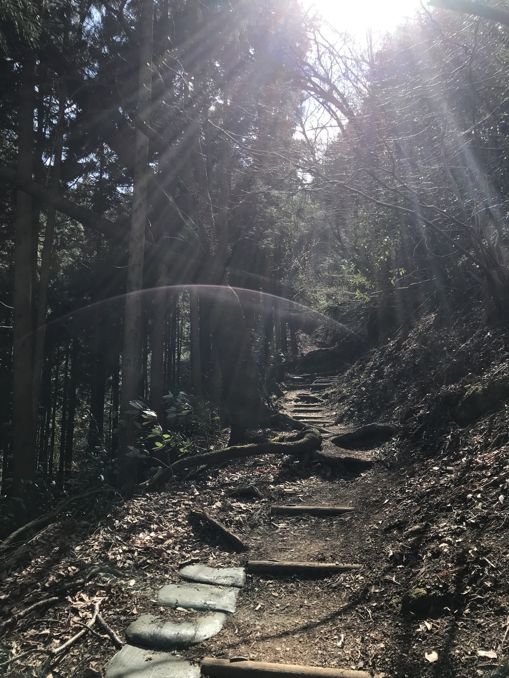 丹沢大山 日向薬師から鶴巻温泉 18kの写真3