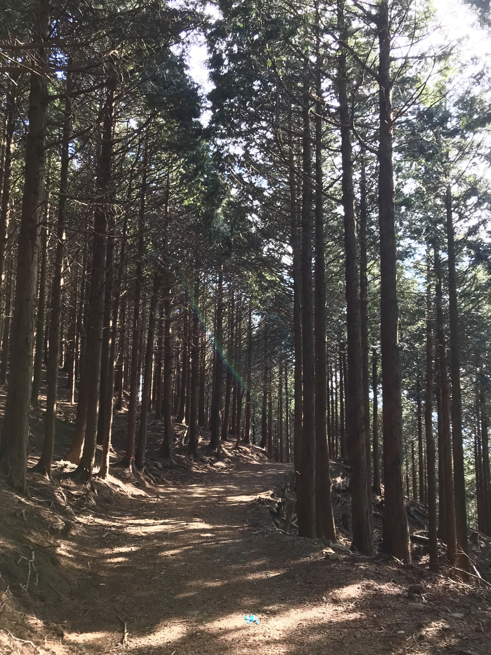 丹沢大山 日向薬師から鶴巻温泉 18kの写真6