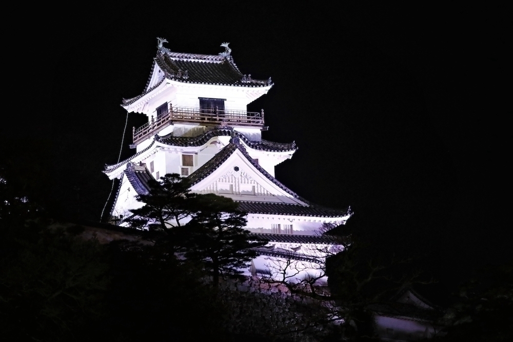 高知城と鏡川ぐるりコースの写真7