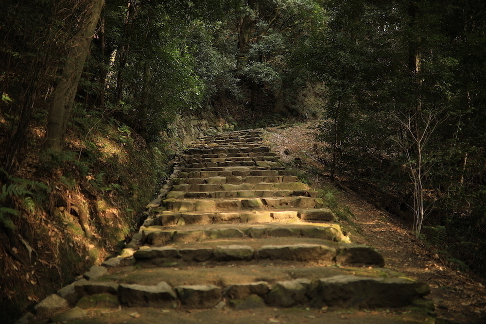 道後温泉〜松山城往復コースの写真5