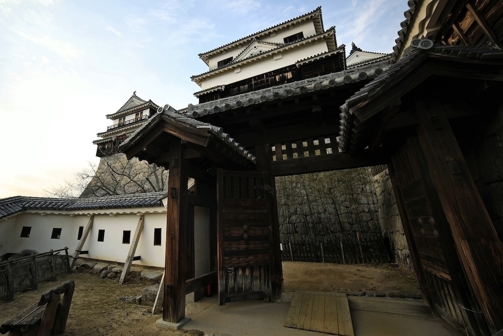 道後温泉〜松山城往復コースの写真6
