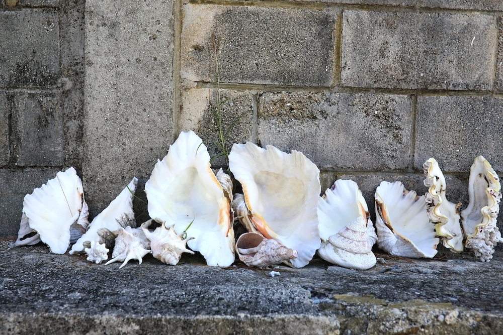 神が宿る大神島シーサイドランの写真7