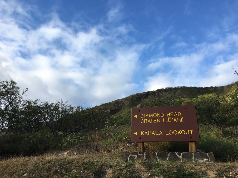 カハラからダイヤモンドヘッド周回 12kmの写真3