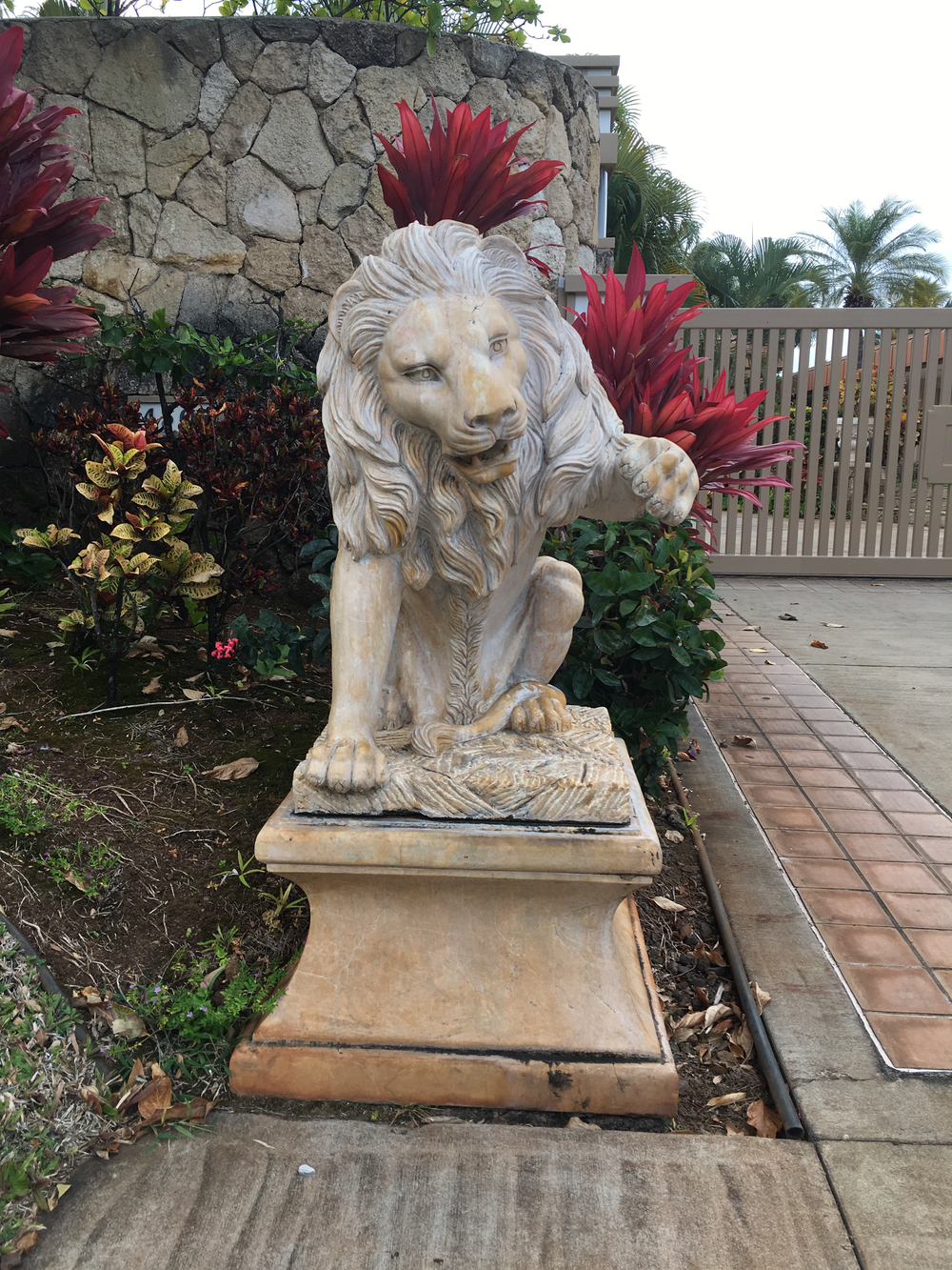 カハラからダイヤモンドヘッド周回 12kmの写真6