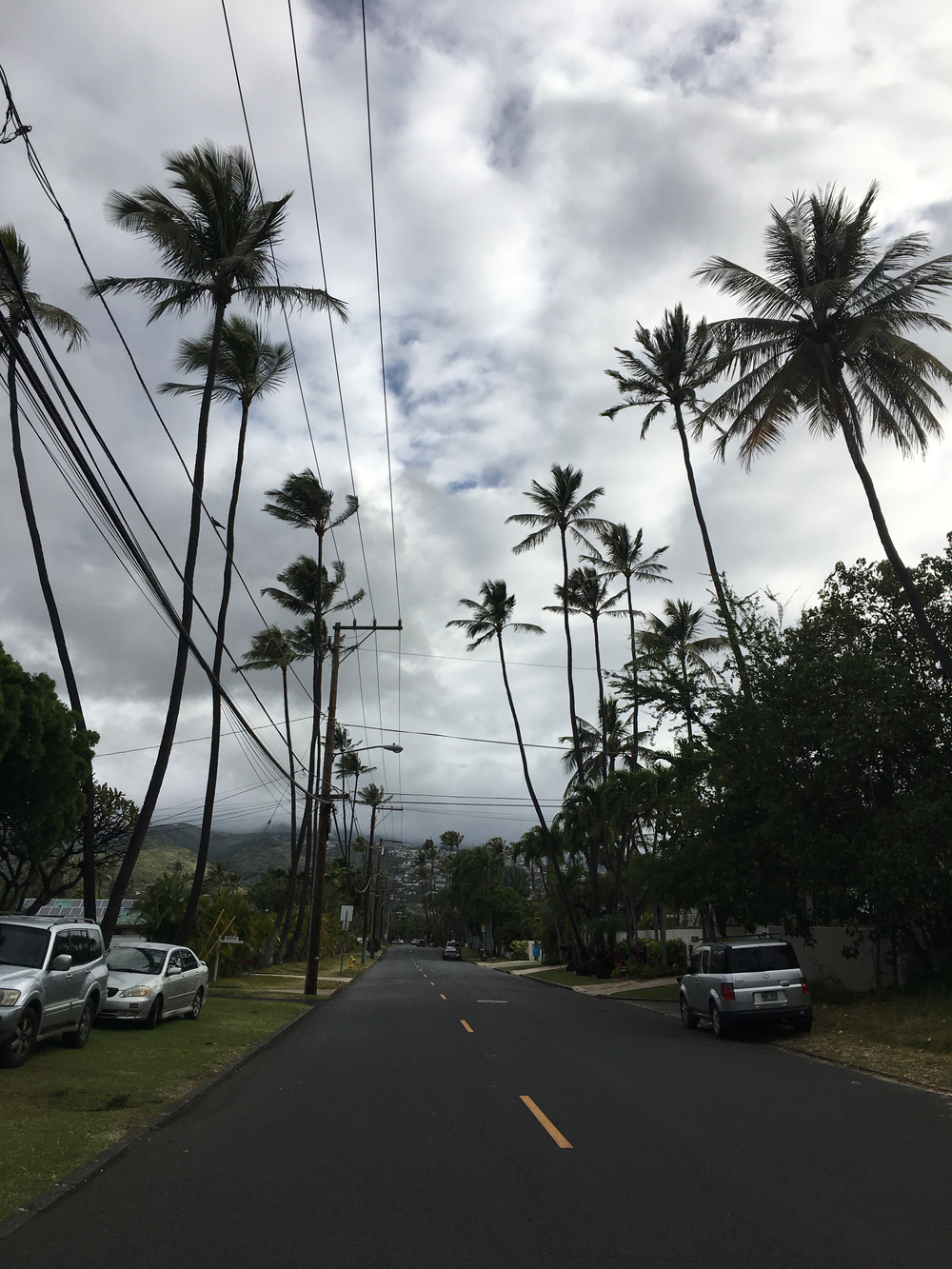 カハラからダイヤモンドヘッド周回 12kmの写真7