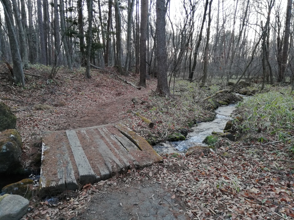 リゾナーレ八ヶ岳発着・信玄棒道の写真3