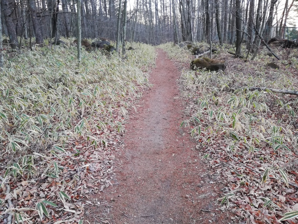リゾナーレ八ヶ岳発着・信玄棒道の写真4