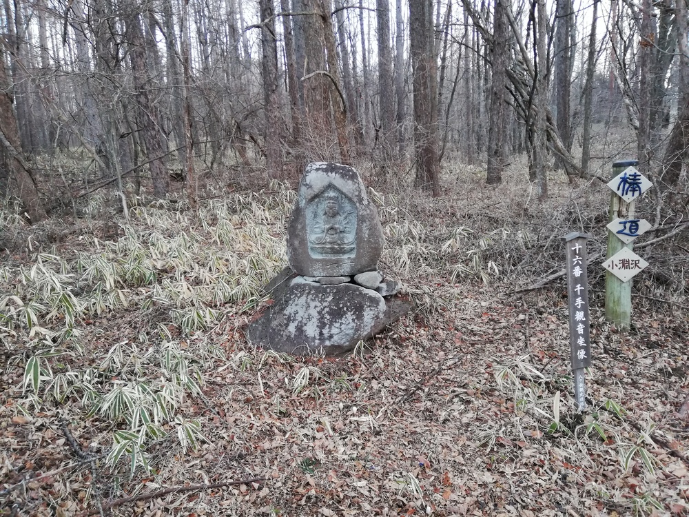 リゾナーレ八ヶ岳発着・信玄棒道の写真5