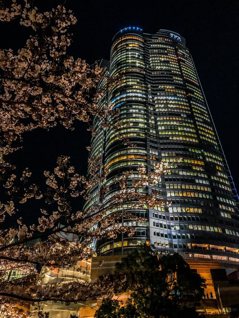 NIGHT SAKURA RUN 2019 SPRINGの写真3