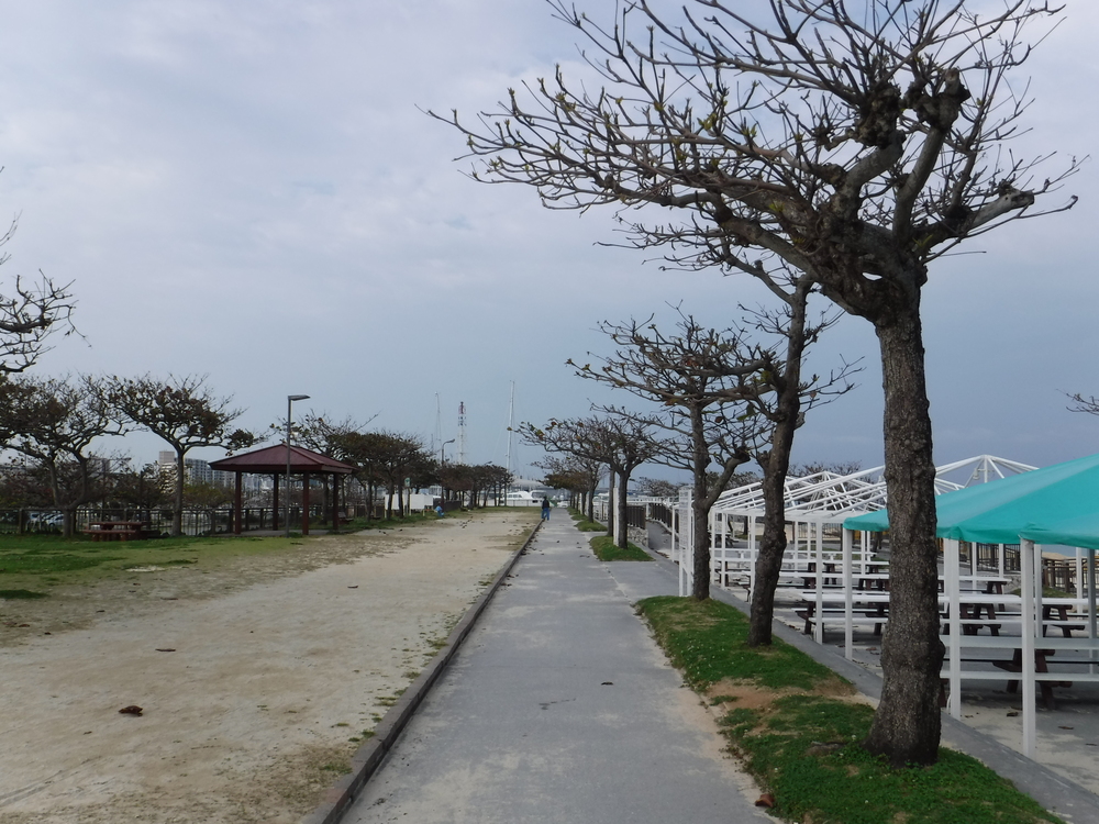 沖縄・宜野湾トロピカルビーチ周回4.5キロの写真4